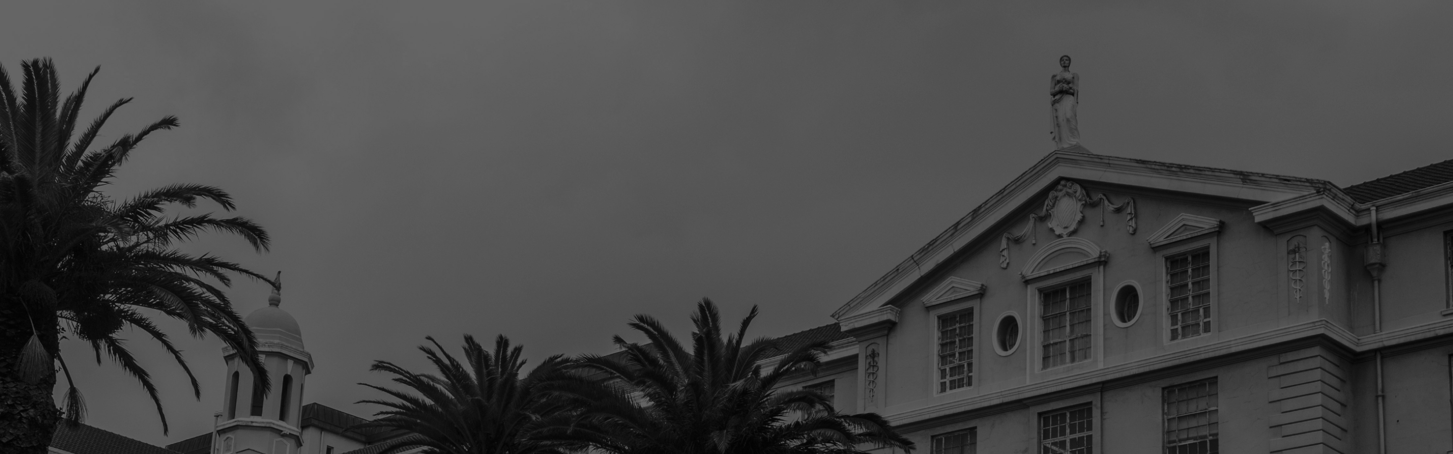 page banner 8